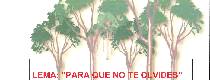Programa integral de envejecimiento activo. Proyecto 